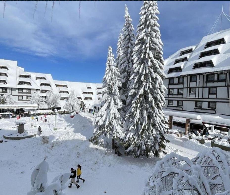 Appartement Tim 135 Konaci-Angella Centar à Kopaonik Extérieur photo